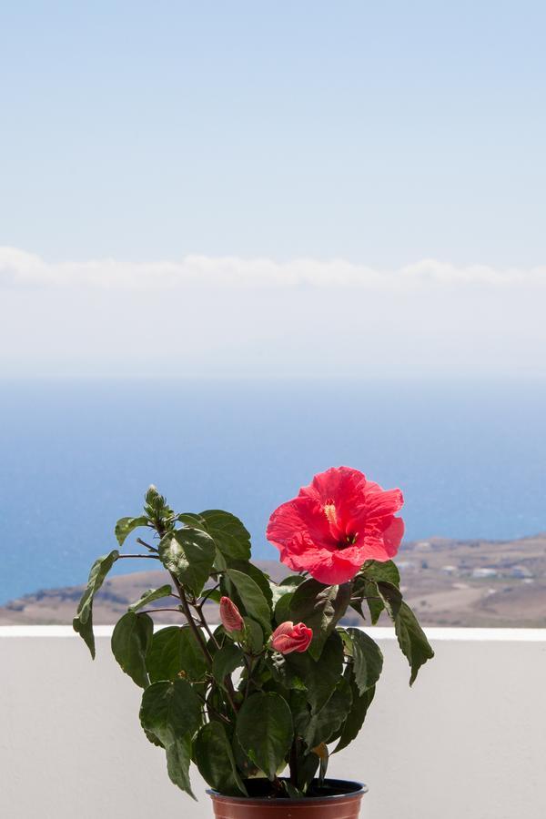 Apartament Luna Rossa Santorini